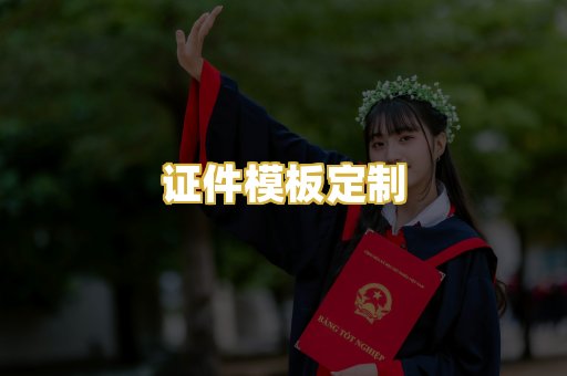 证件模板定制